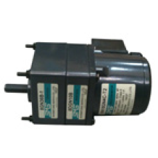 SMS 15 W 220 V 3.8 Devir Redüktörlü AC Motor